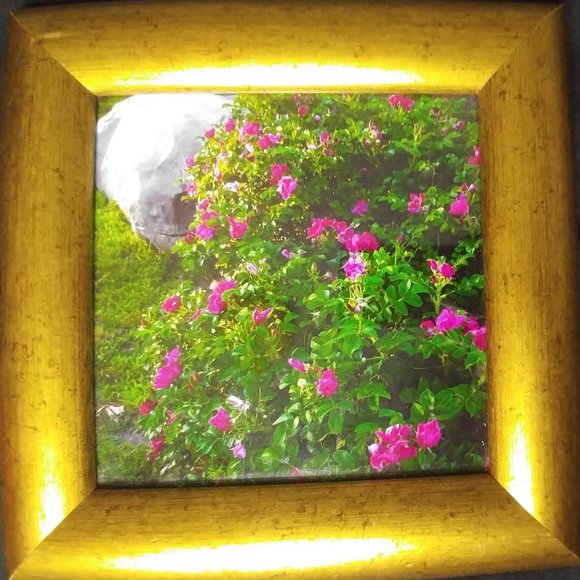 Photo Art - Picture 1 of 1